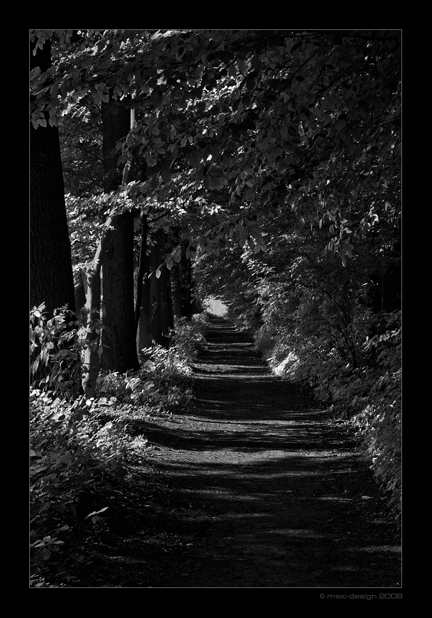 Dieser Weg