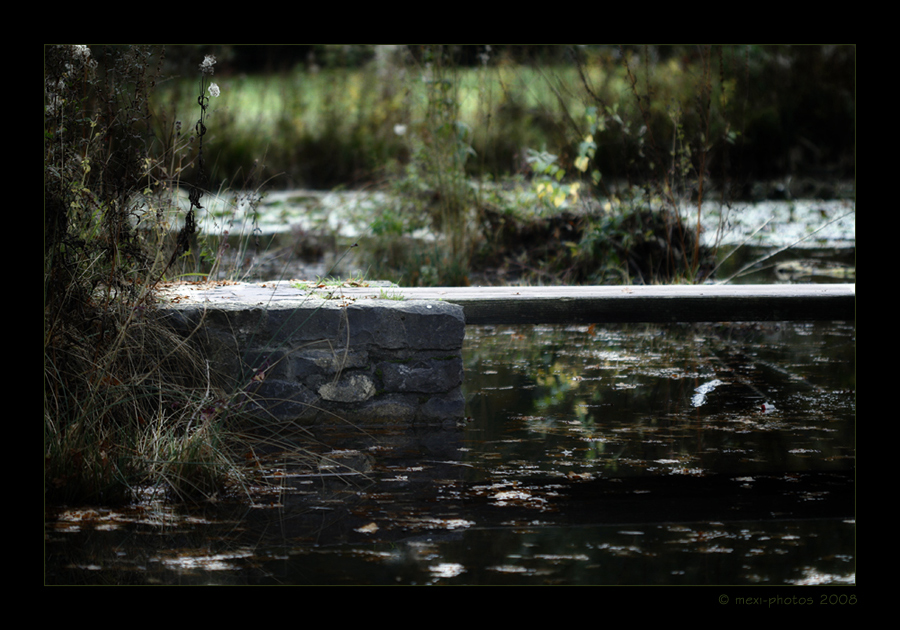 Mystisches Feeling am Wasser