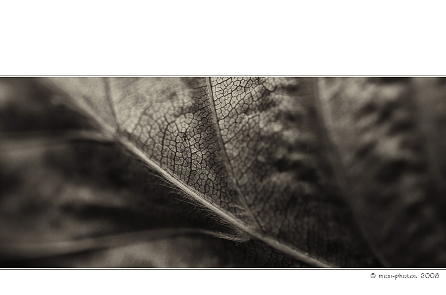 Autumnfeeling