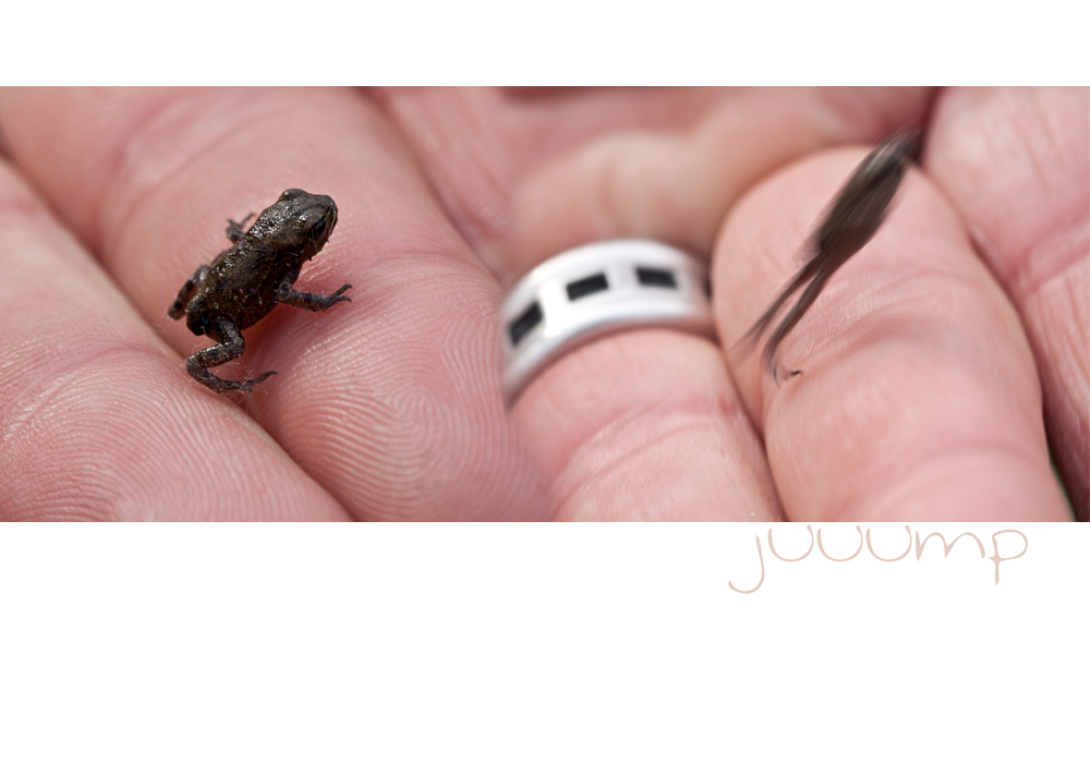 jump little frog