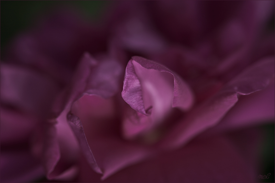 touch