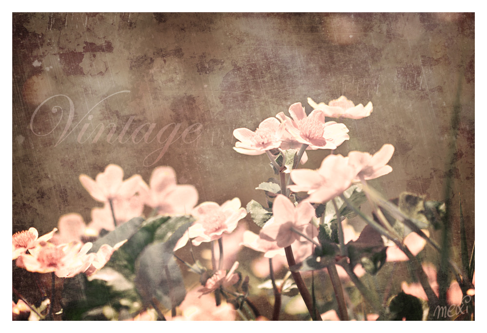 Vintage