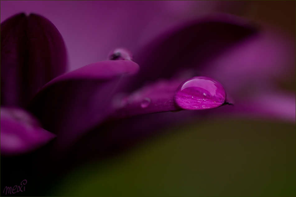 Raindrop