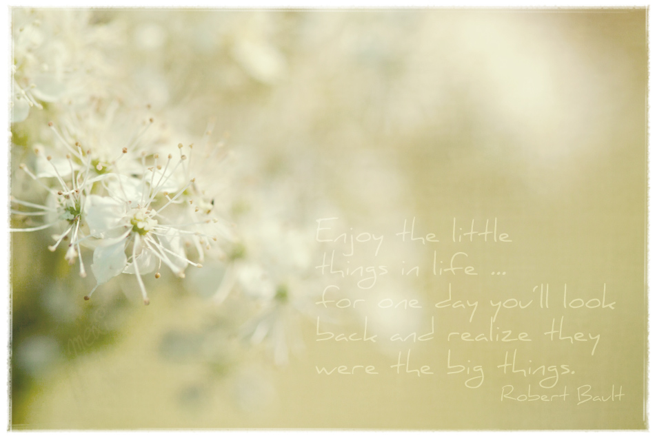 enjoy the little things ...