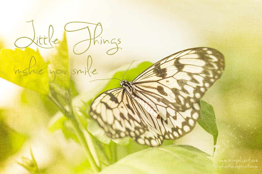 Little things