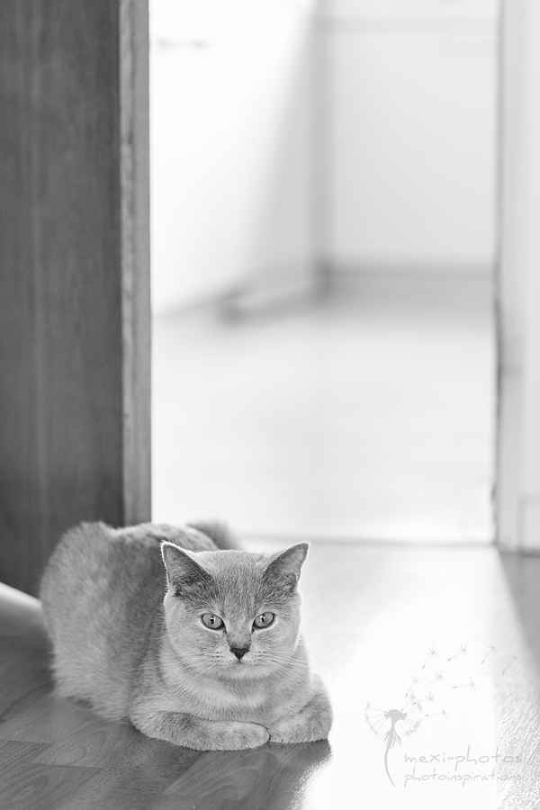 waiting