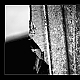 Zerbrochenes Glas Zerbrochenes Glas