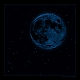 Nightfly Nightfly