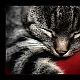 Schlafende Katze Schlafende Katze