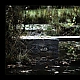 Mystisches Feeling am Wasser Mystisches Feeling am Wasser