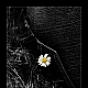 Gänseblümchen fast erwischt ... Gänseblümchen fast erwischt ...