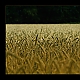 Kornfeld Kornfeld