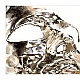 die Maske - the mask die Maske - the mask