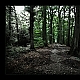 Der Weg ins Licht ... Der Weg ins Licht ...