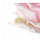 ein Hauch von Rose ein Hauch von Rose