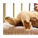 Kater .... Kater ....