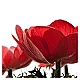Anemone II Anemone II