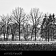 winterwalk .... winterwalk ....
