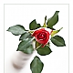 Rosenmontag .... Rosenmontag ....