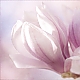 Magnolien
