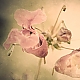 vintage-flower vintage-flower