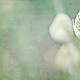 minimalsm green ...