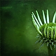 green ... green ...