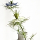 nigella-duo nigella-duo