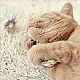 schmusen kann so schön sein .... schmusen kann so schön sein ....