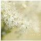enjoy the little things ... enjoy the little things ...