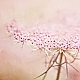 pink ... pink ...