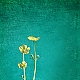 yellow yellow