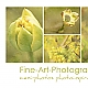 Fine-Art Fine-Art
