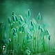 green green