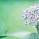 Hortensia Hortensia