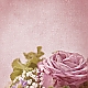 flowers flowers