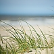 Düne Niederlande Düne Niederlande