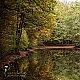 Herbstwald Herbstwald