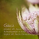 Glück Glück