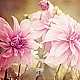 Dahlien Dahlien