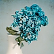 Vintage - Verblühte Hortensie Vintage - Verblühte Hortensie
