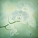 Orchid FineArt Orchid FineArt