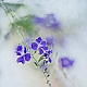 Blüte Blüte