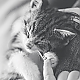 touch touch
